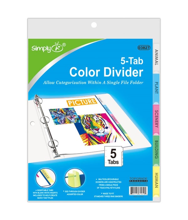 3-ring binder dividers 24/144s w/5-insertable color tab