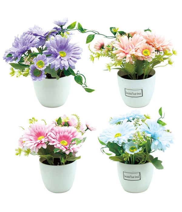 10" potted flower astd 24/72s