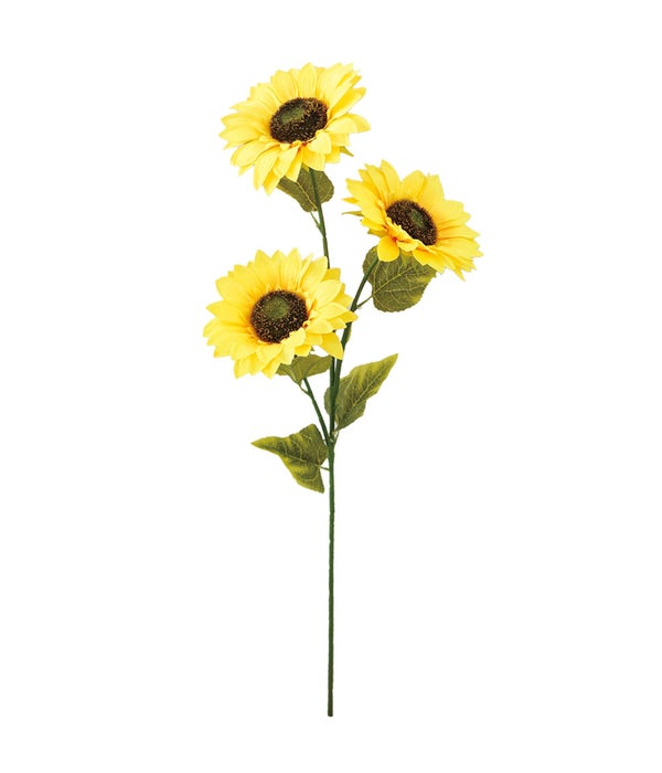 #6424B 3-sunflower 6x37"L