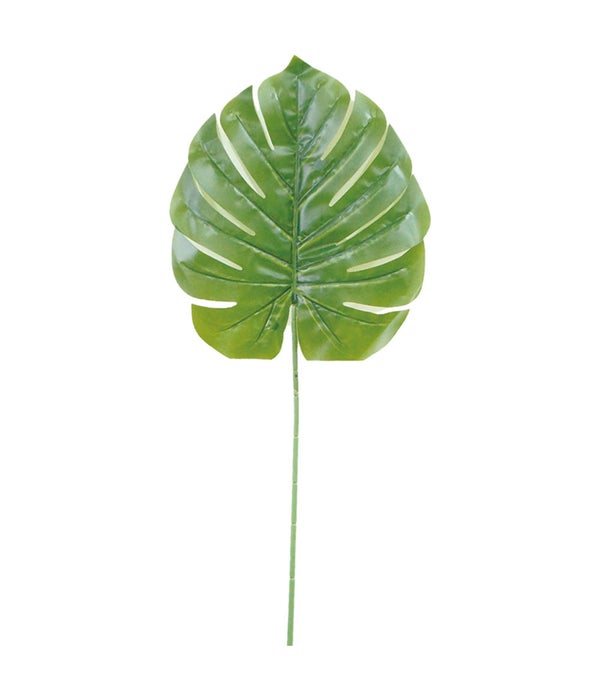 24" long leaf(9x11.5") 48/480s