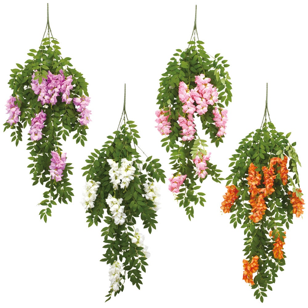 R91CP【Carola flower】 Direct Farm Supply Wholesale Fresh Flower Carola Rose