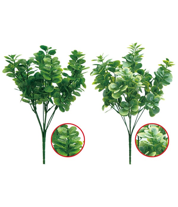 12"/5-stem green plant 72s