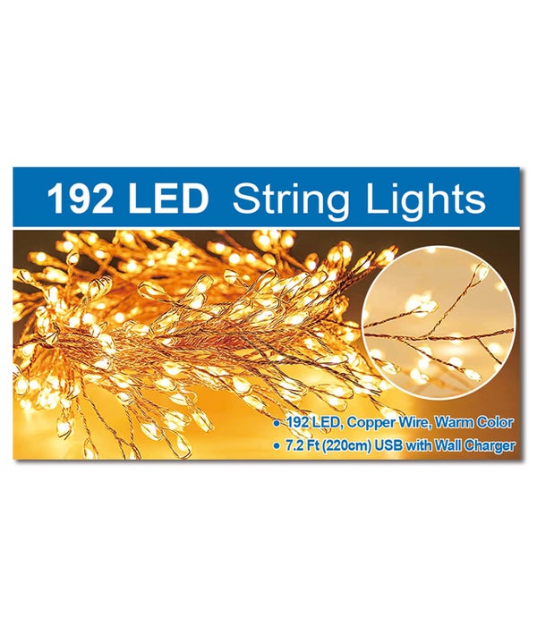 192L/7.2ft string light 24s w/wall charger