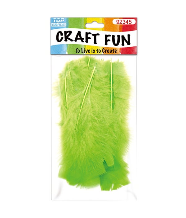 DIY feather lime 12/600s
