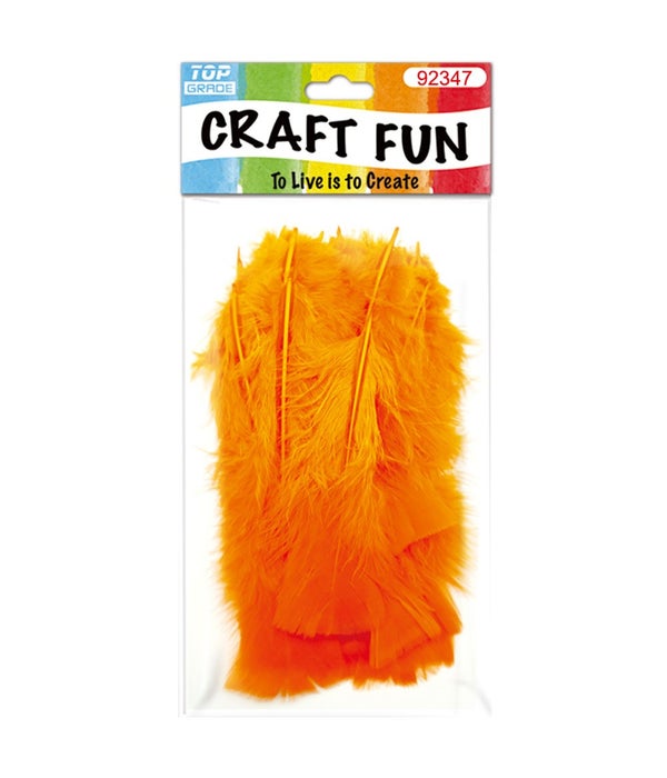 DIY feather orange12/600