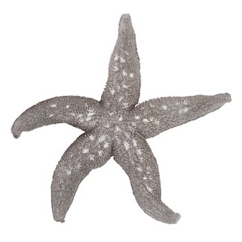 Deep Pewter Starfish - large