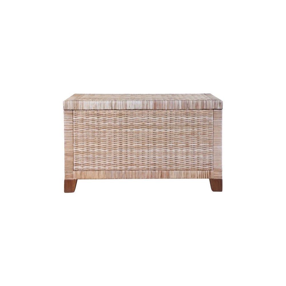 Woven Storage Trunk