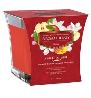 AROMATHERAPY CANDLE #48261 APPLE HARVEST