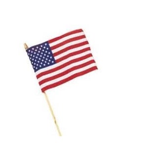AMERICAN FLAG #2