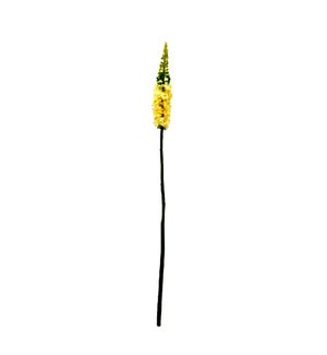 FLOWERS #6065 SPRING FOXTAIL STEMS