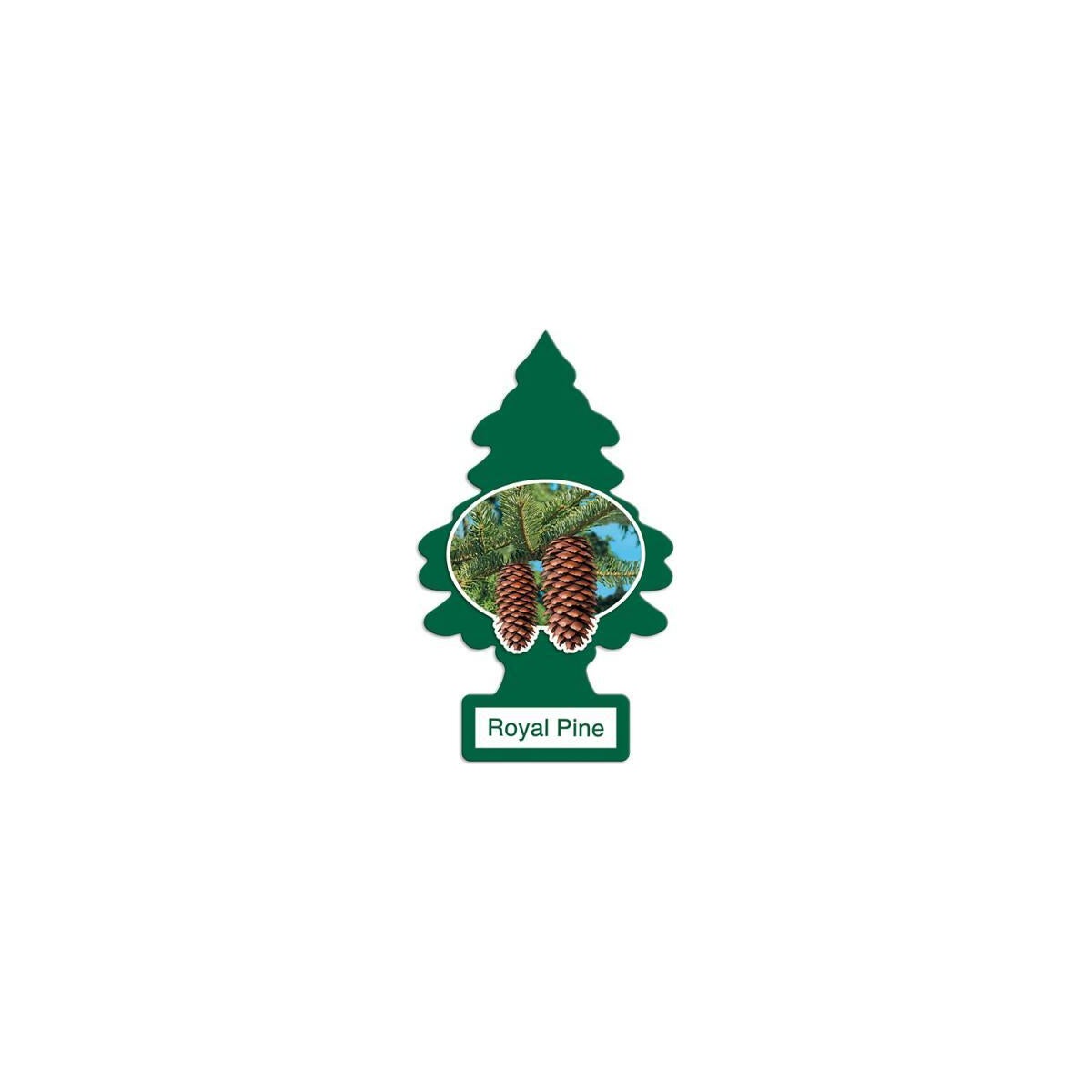 LITTLE TREE CAR FRESHNER ROYAL PINE FRAGANCE 24CT