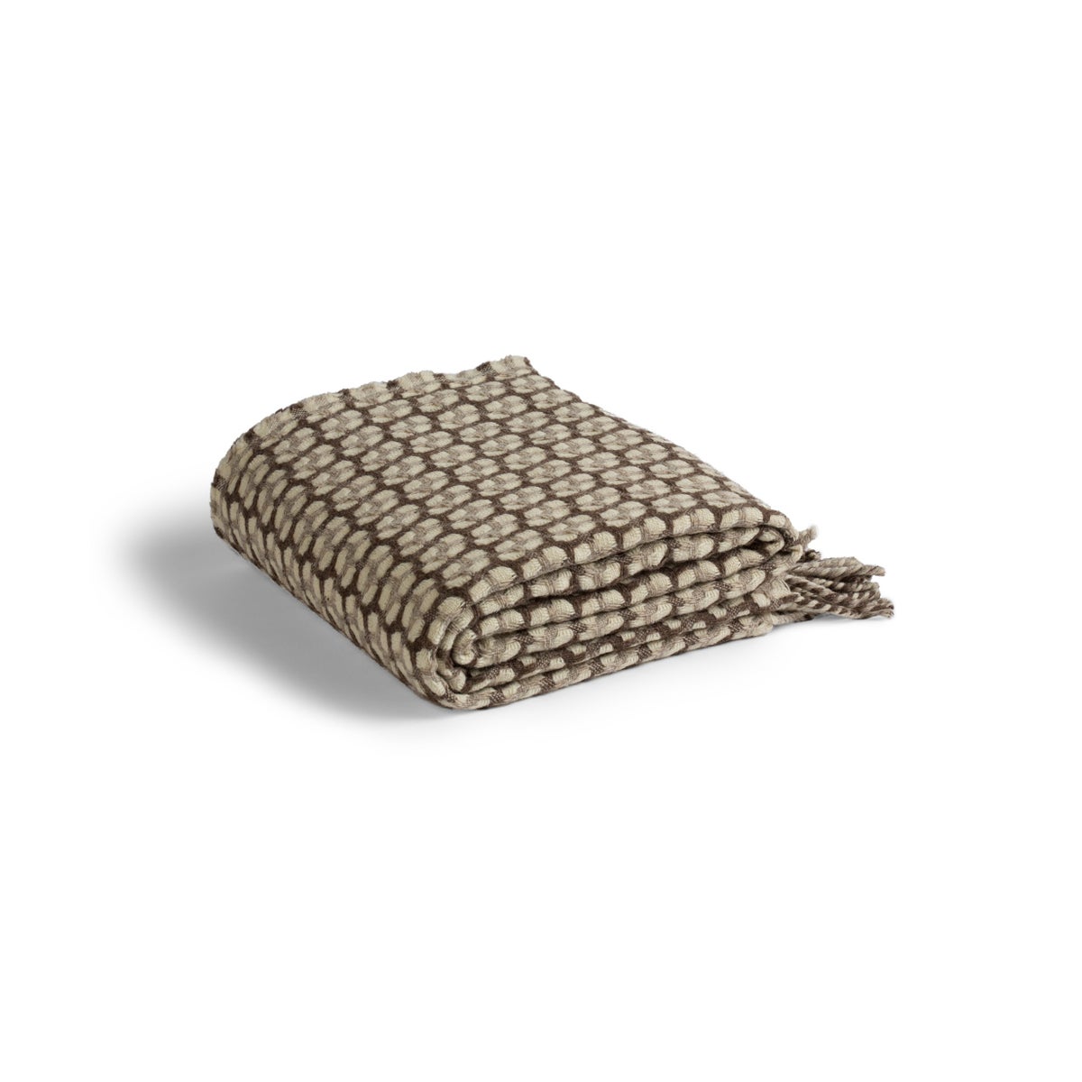 Crocodile Rock - Regular Brown