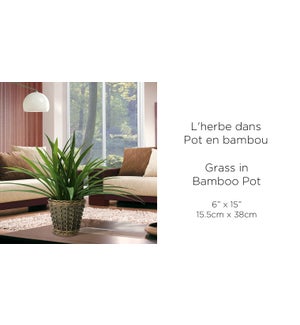 Grass in bamboo pot D15.5xH38cm 8B