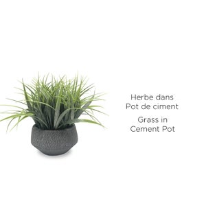 Grass in Black Vintage Cement Pot 18x28 - 8B