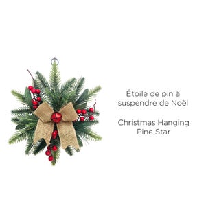 Christmas Hanging Pine Star -28x30- 8B