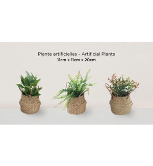 Artificial Plant in Weave Basket 11x11x20 - 12B
