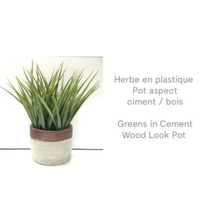 Greens in Cement/Wood Look Pot - 12x24-8B