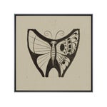 Ari Milner Butterfly