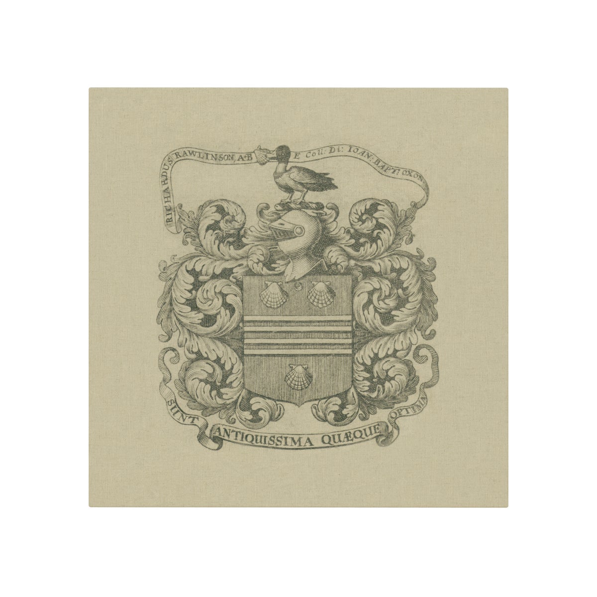 Duck Crest