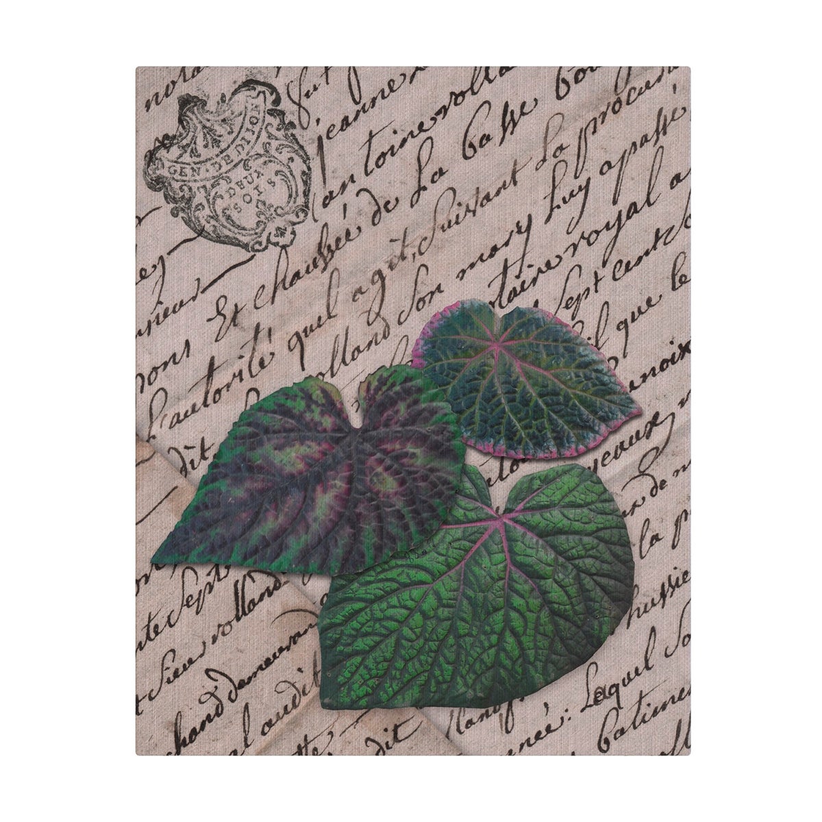 AR Leaves Composite II