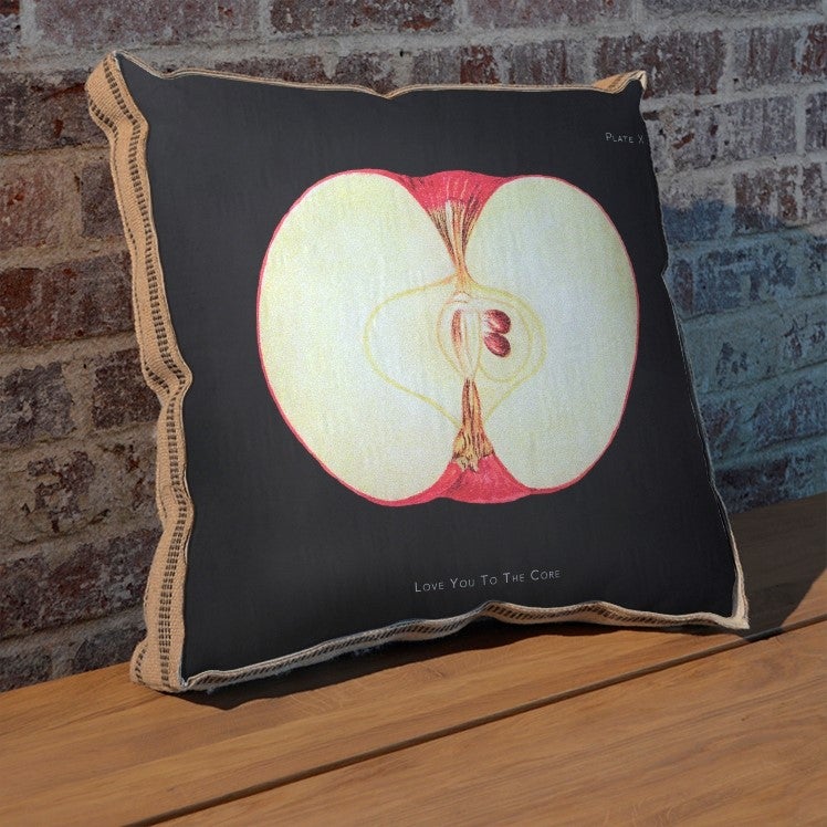 Apple cheap core pillow