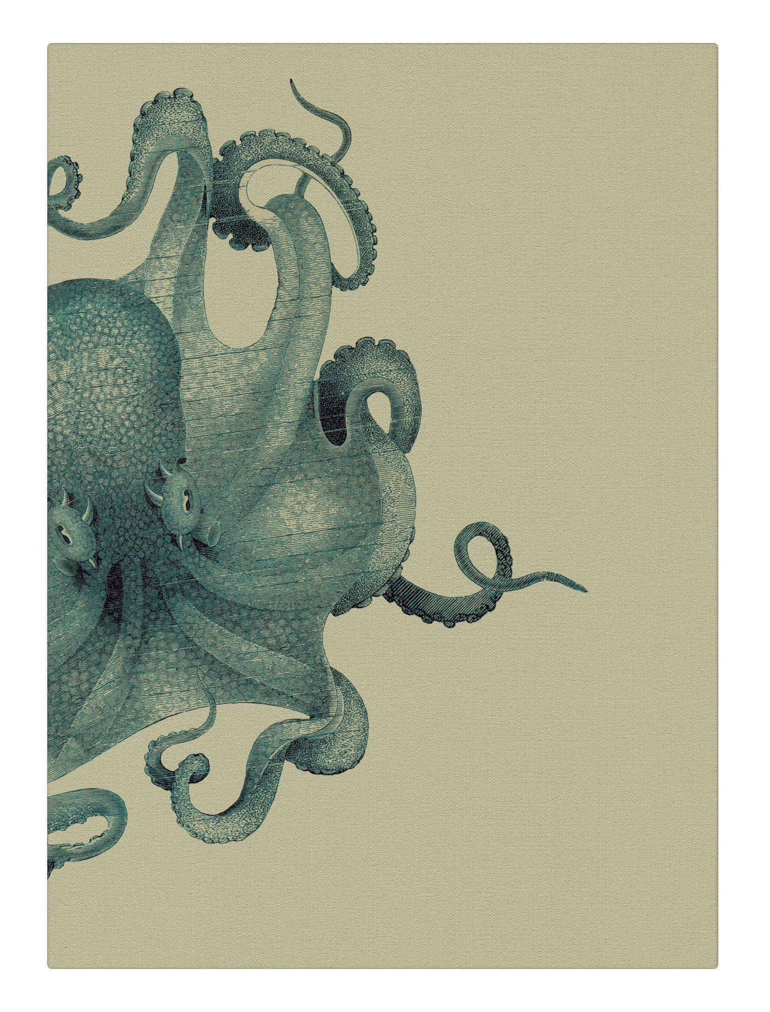 Octopus Study Blue - all products | Splash Works