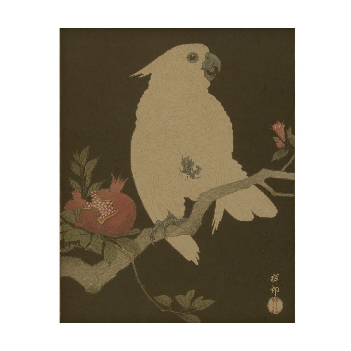 Parrot Hemp Panel