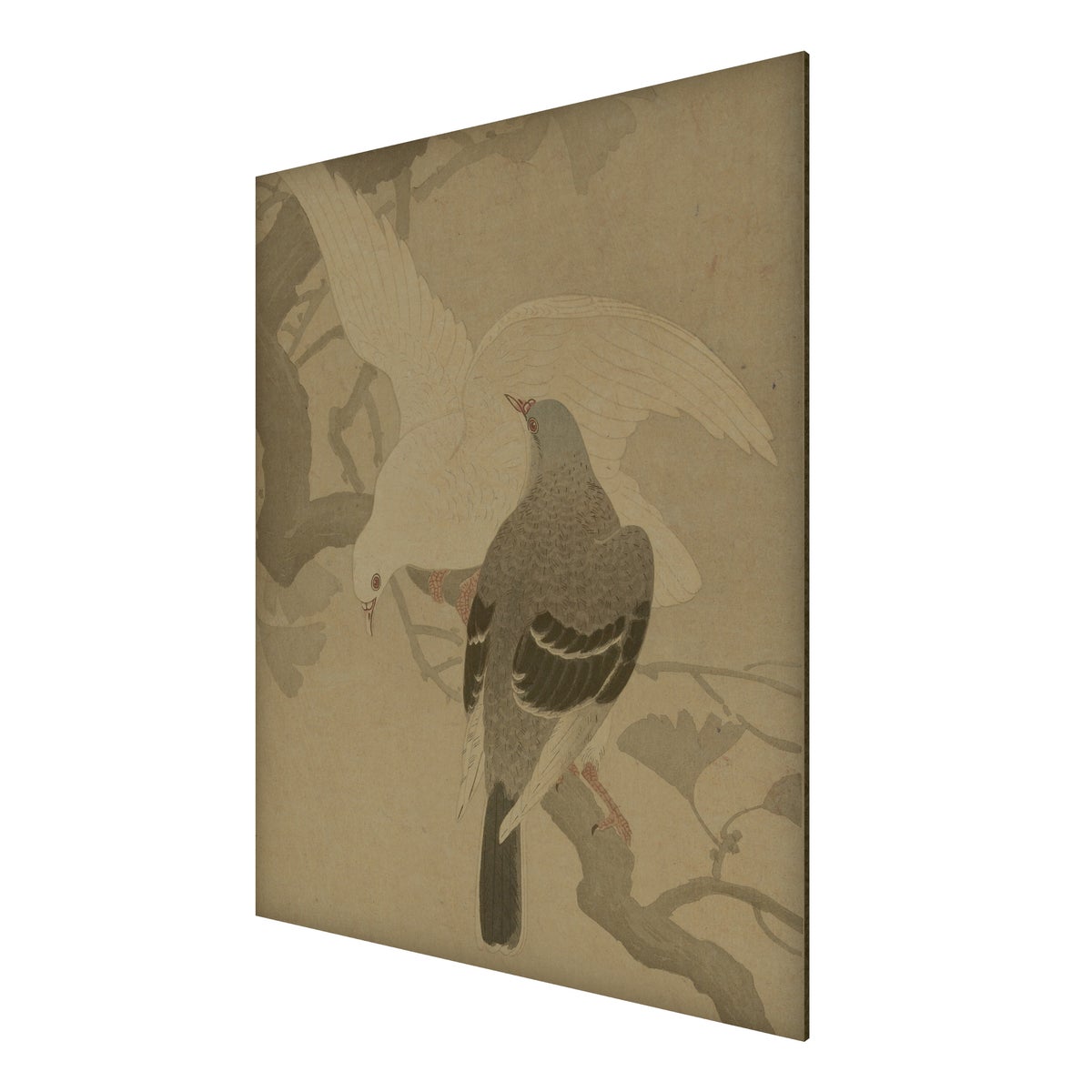 Pigeons Hemp Panel