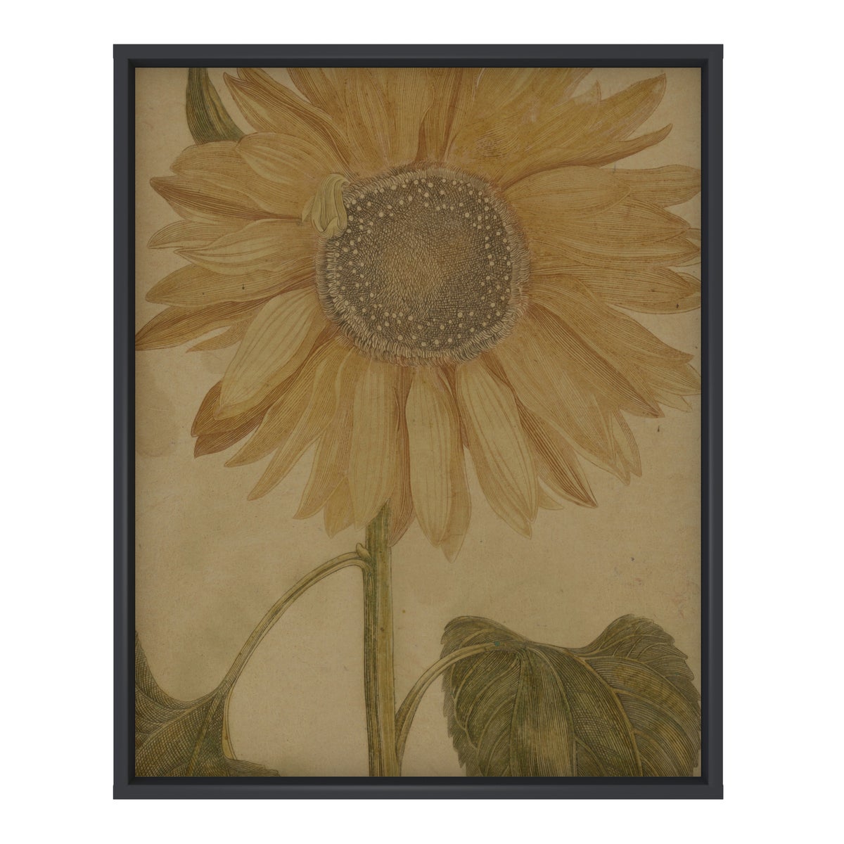 Sunflower Hemp Panel