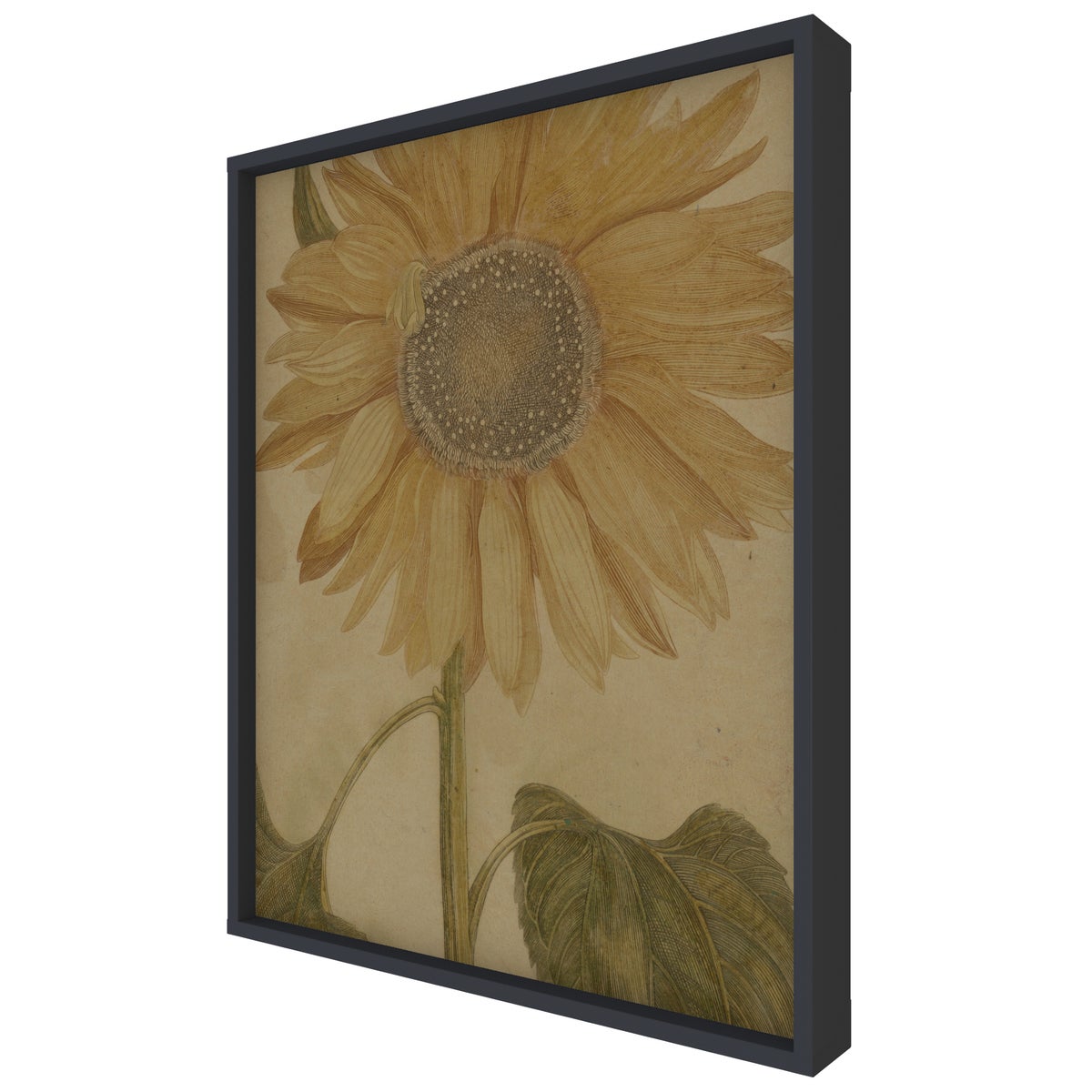 Sunflower Hemp Panel