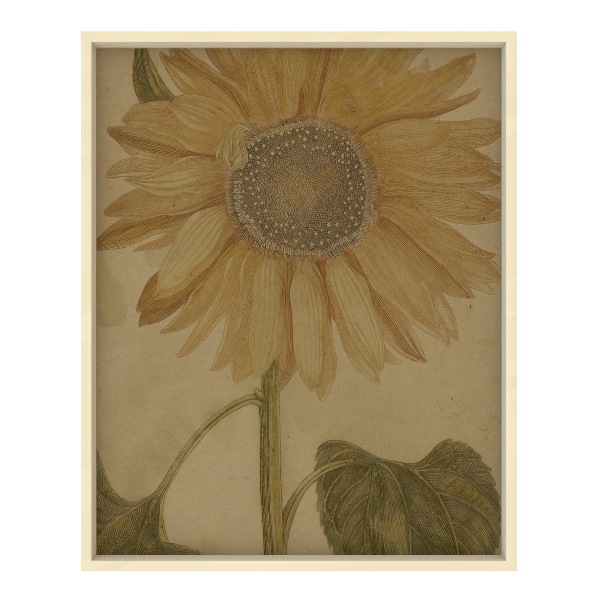 Sunflower Hemp Panel