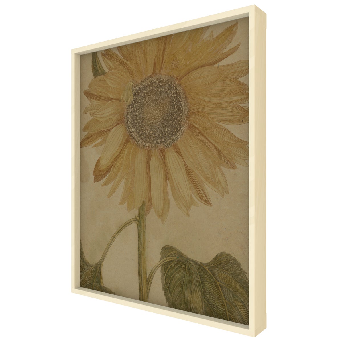 Sunflower Hemp Panel