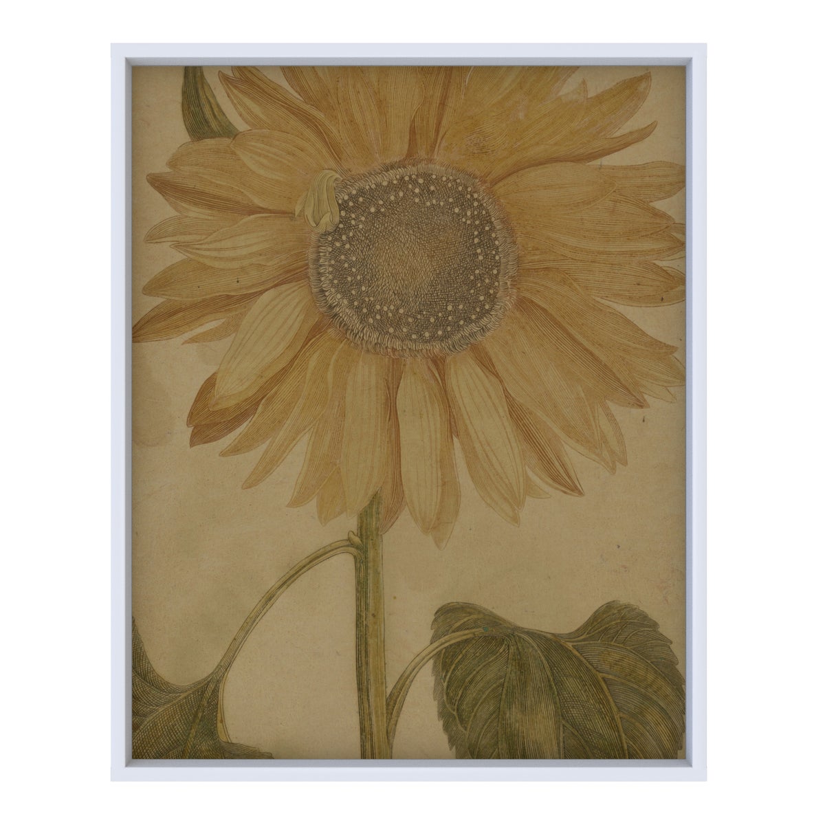 Sunflower Hemp Panel