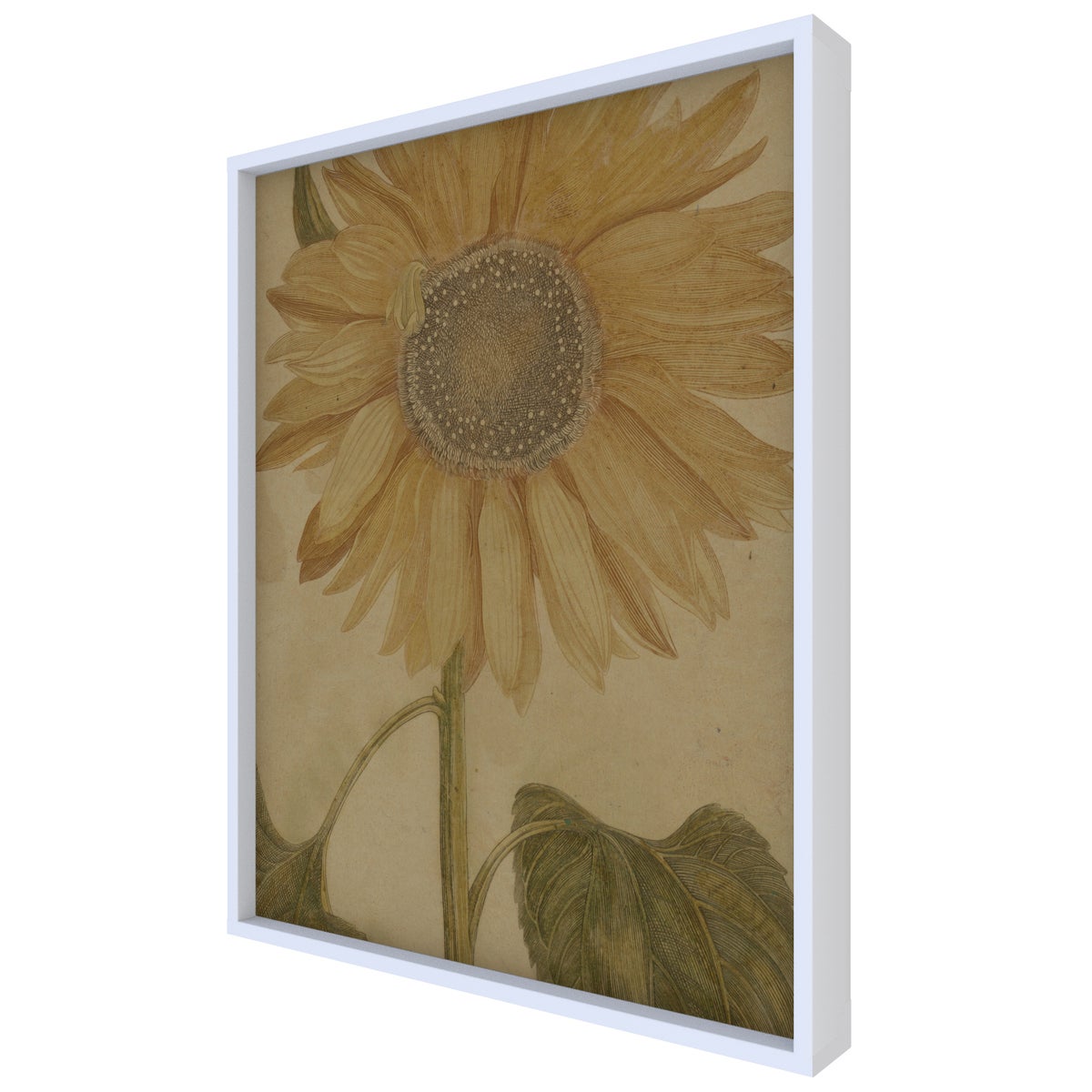 Sunflower Hemp Panel