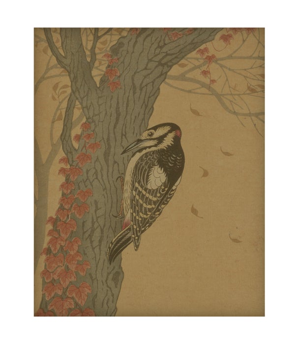 Woodpecker Hemp Panel
