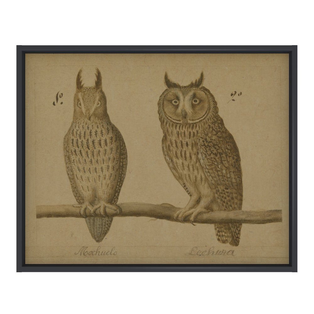 Owls Hemp Panel