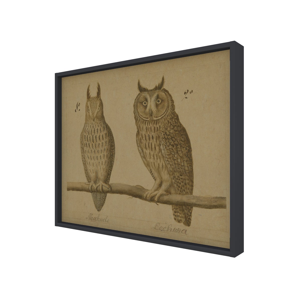 Owls Hemp Panel