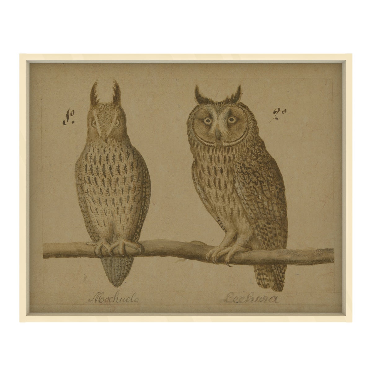 Owls Hemp Panel