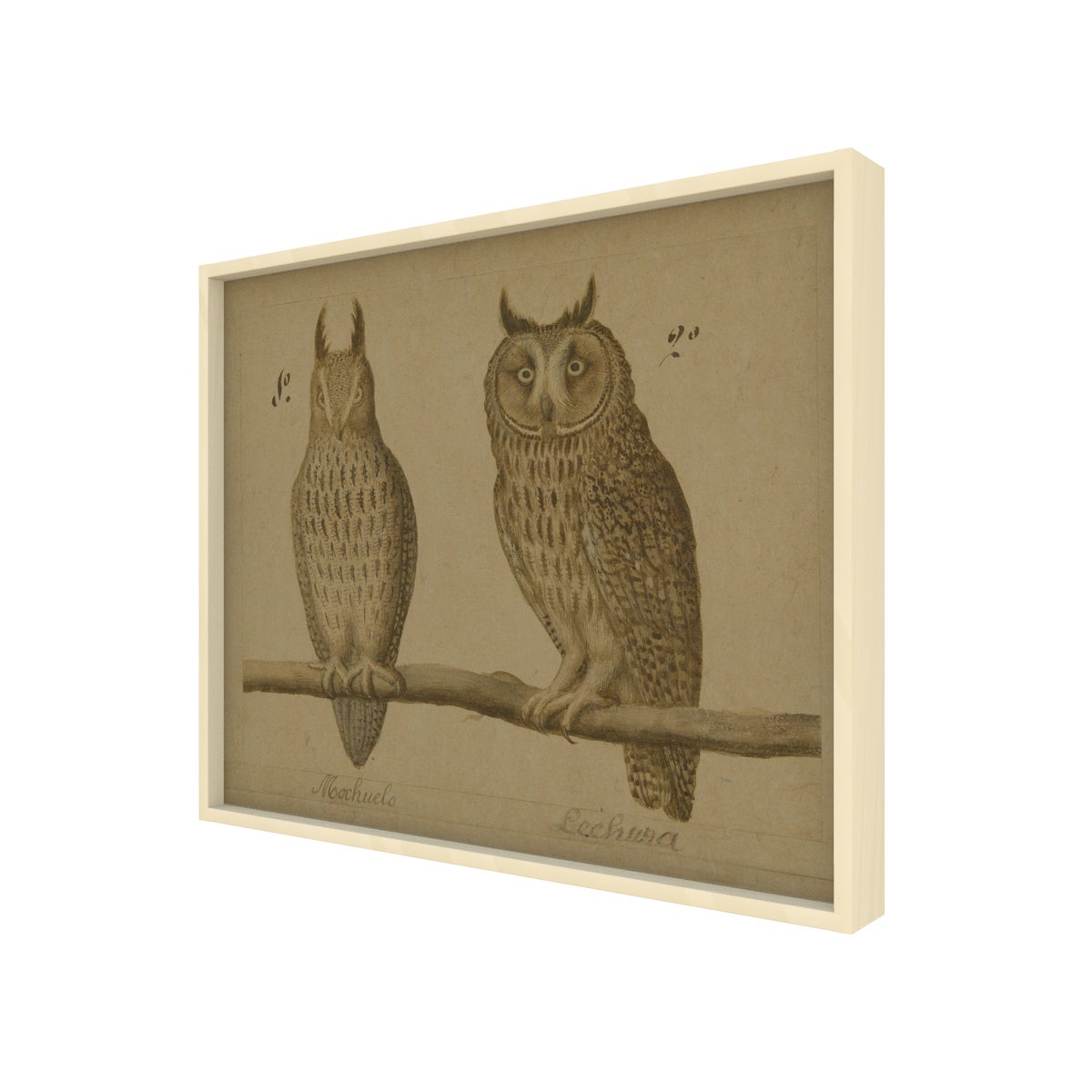 Owls Hemp Panel