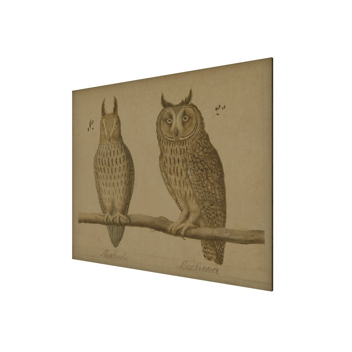Owls Hemp Panel