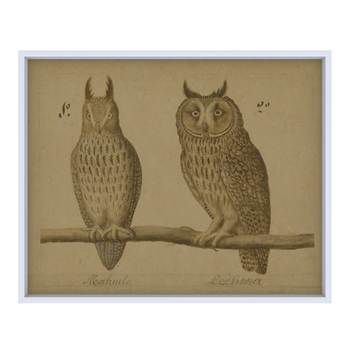 Owls Hemp Panel