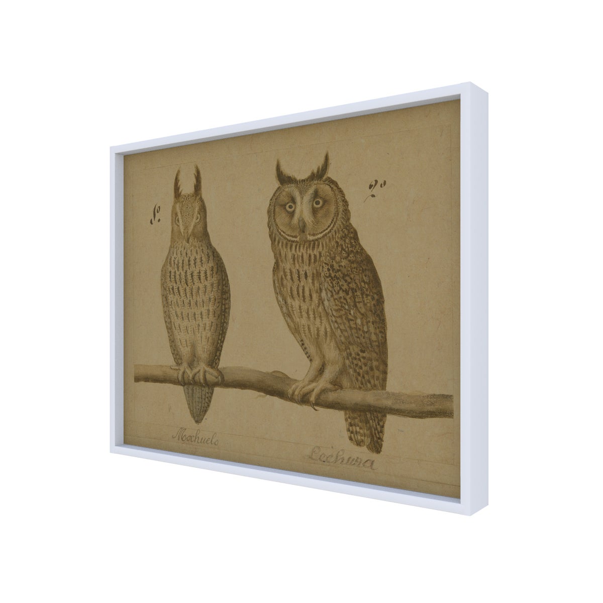 Owls Hemp Panel