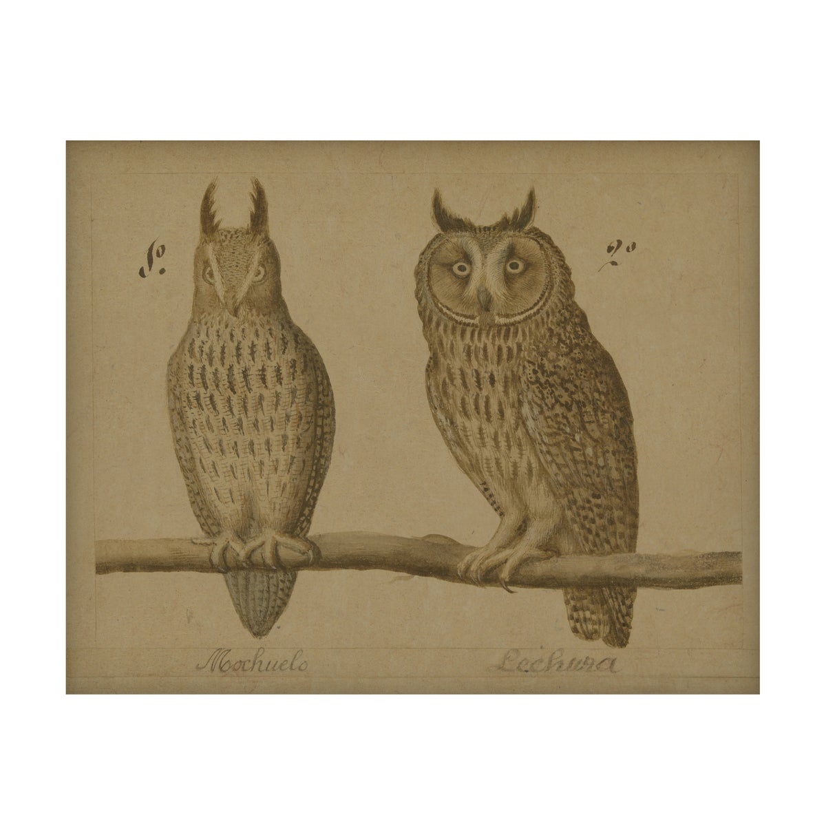 Owls Hemp Panel