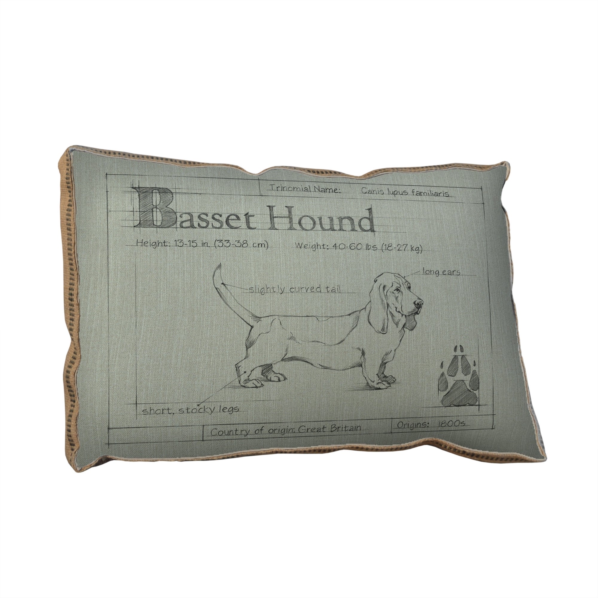 Basset clearance hound pillows