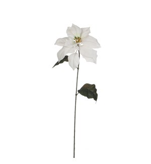 Poinsettia white - 28"