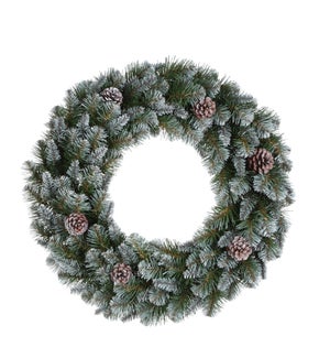 Empress wreath green frosted TIPS 160  - 24"