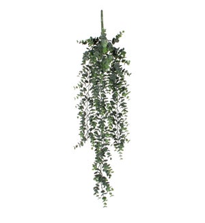 Eucalyptus hanging green - 30.75"