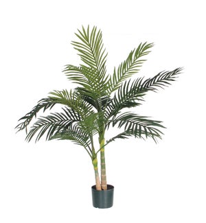 Areca palm green - 39.5x47.25"