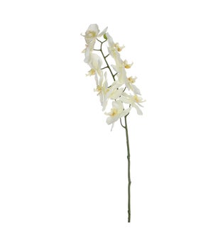 Phalaenopsis white  - 28"