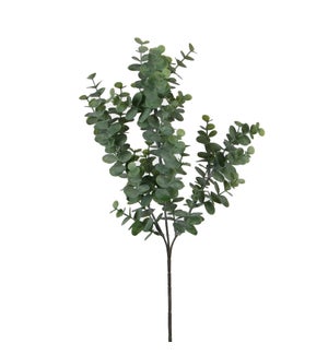 Eucalyptus green - 25.5"
